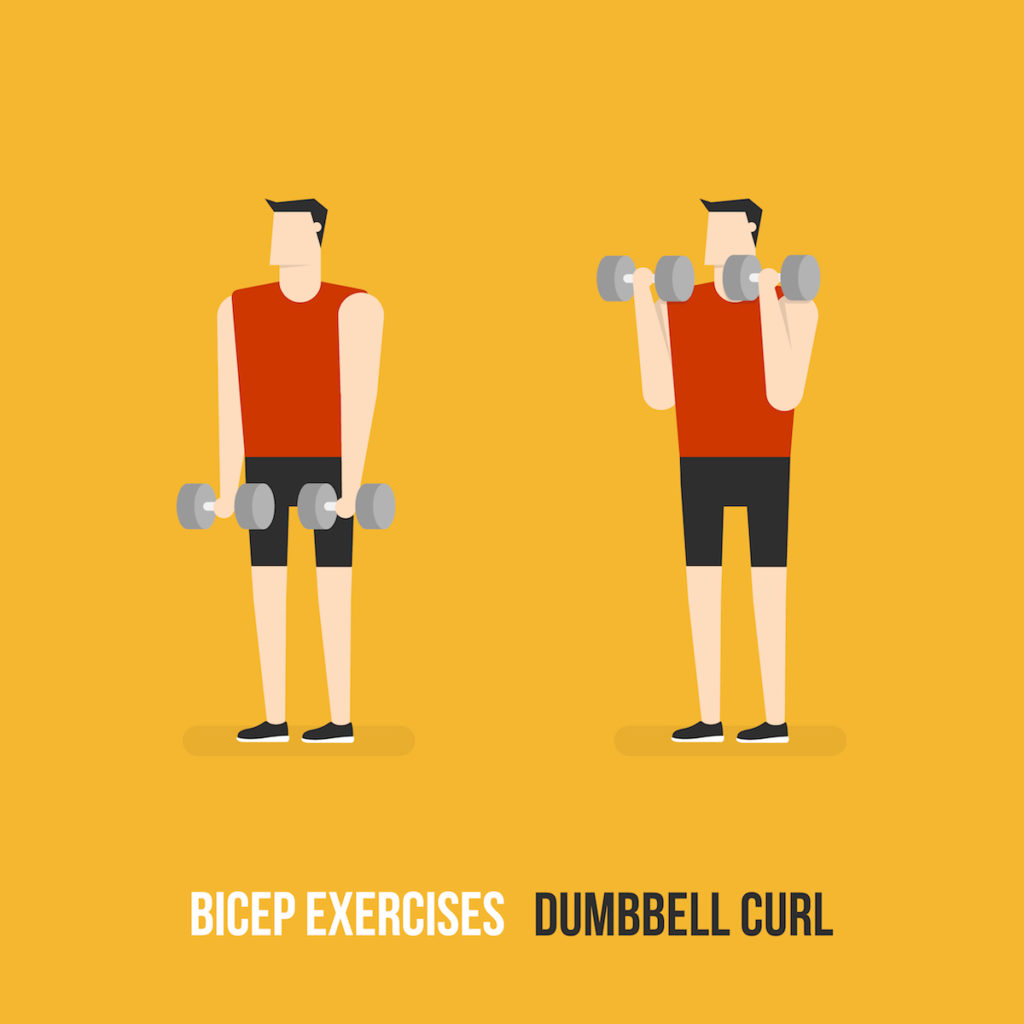 bicep dumbbell curls Chicago body sculpting