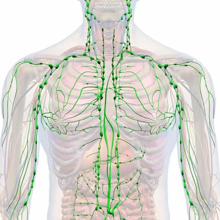 What Is Lymphatic Drainage? How It Works and 7 Simple Benefits