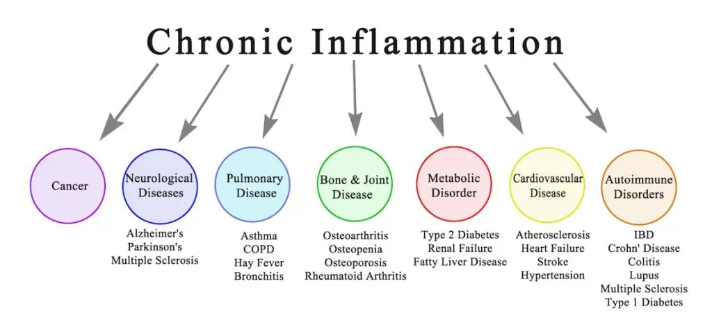 does sugar cause inflammation at TushToners
