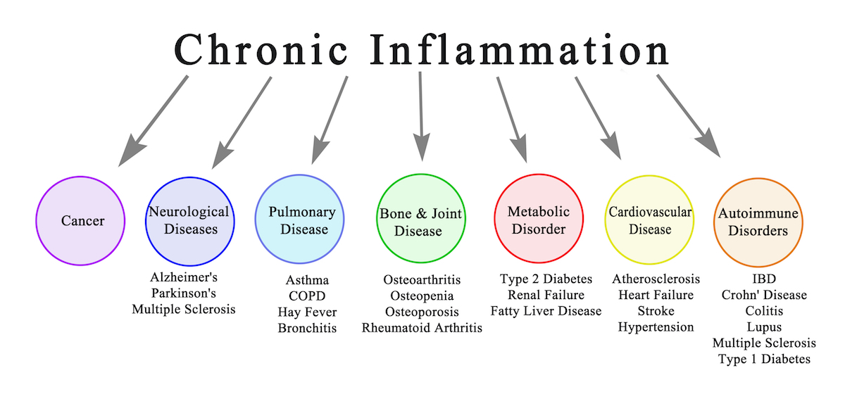 sugar causes Chronic inflammation