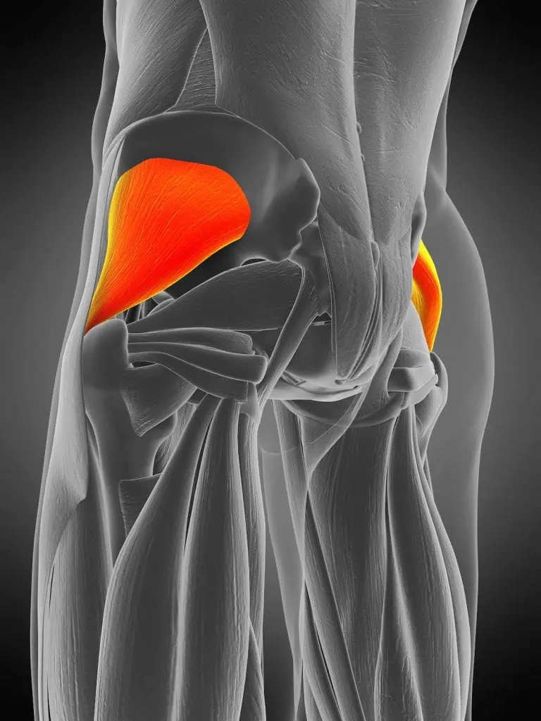 Gluteus Minimus glute cellulite treatment Chicago