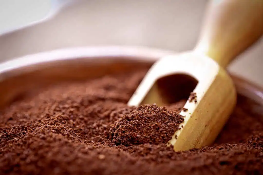 diy cellulite scrub at TushToners