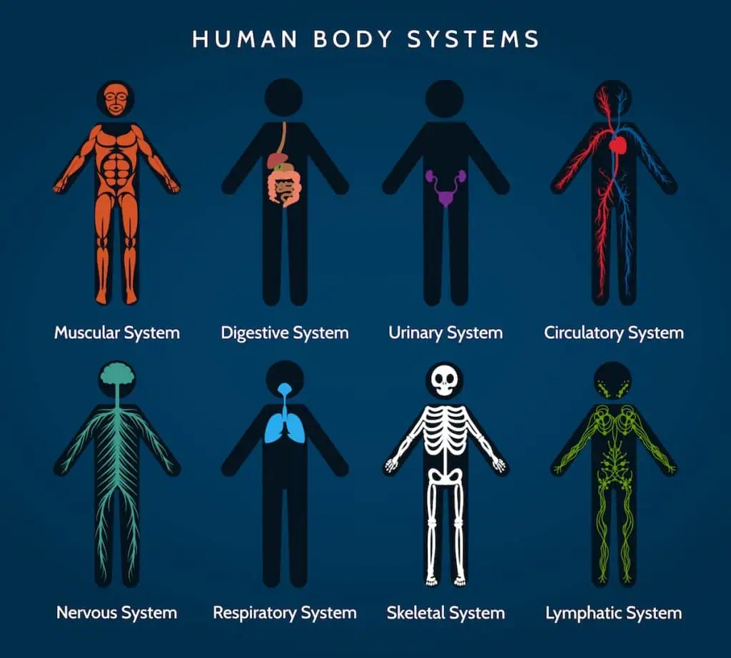 what is lymphatic drainage: lymphatic drainage massage