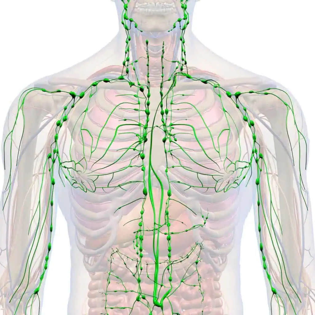 lymphatic drainage massage Chicago
